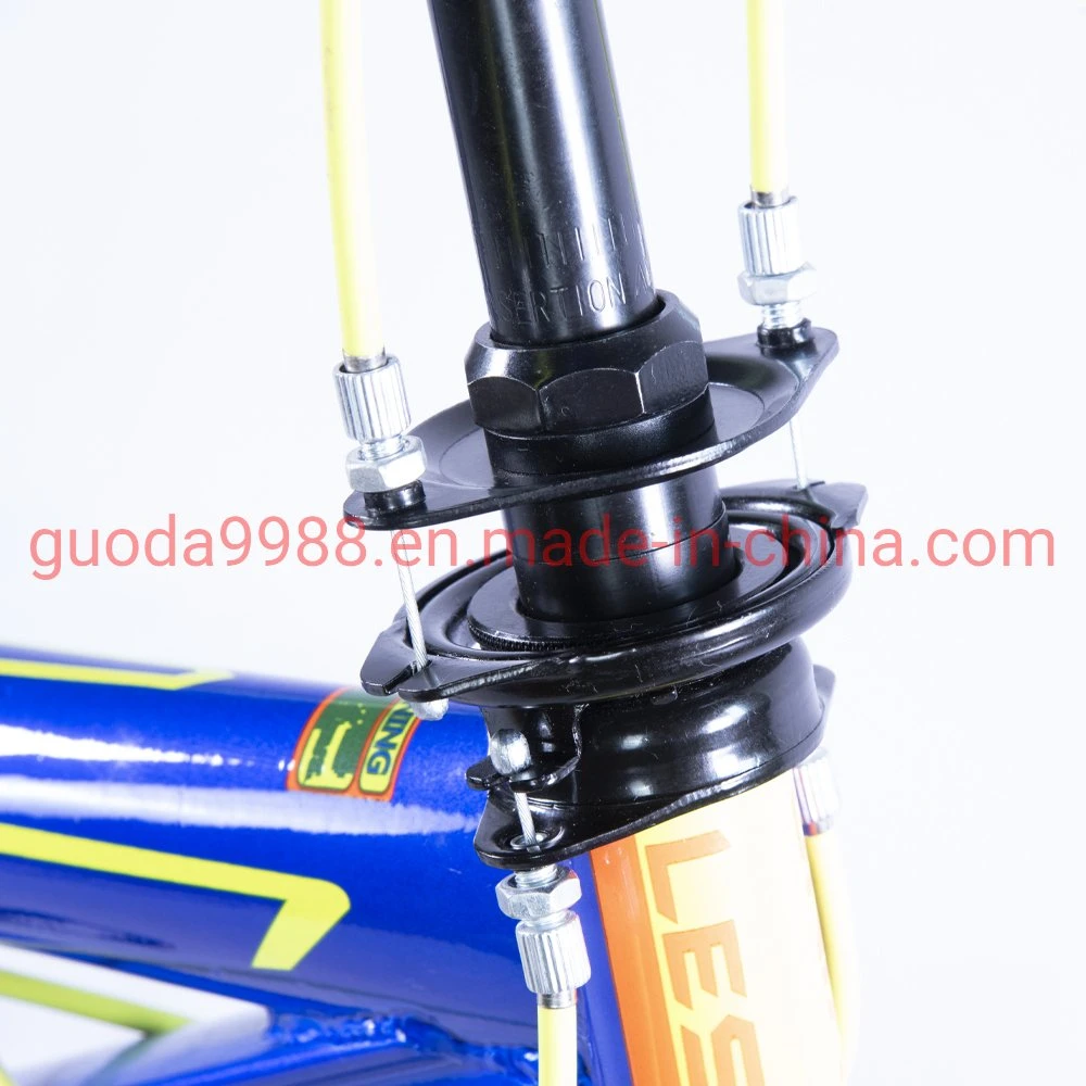 OEM Carbon Steel BMX with Single Speed and Fashionable Design