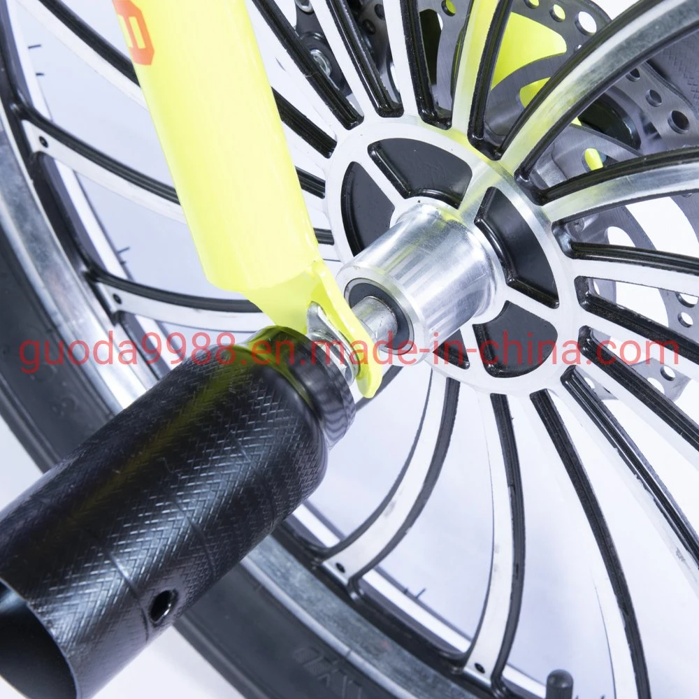 OEM Carbon Steel BMX with Single Speed and Fashionable Design