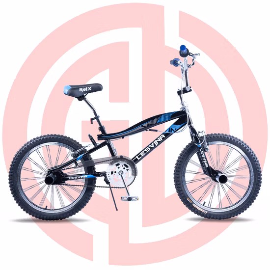Оптовая продажа BMX 20-дюймовая тачка Fancy Street Mini Freestyle Sports