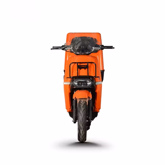 Велосипед для грязи Apollo Rfn Ares Rally PRO Электрический велосипед для грязи Электрический мотоцикл с литиевой батареей Электрический мотокросс Электрический пит-байк для взрослых Электрический внедорожный велосипед